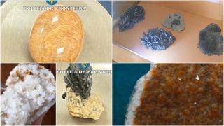 Afacerea de milioane de euro cu florile de mină. Bărbat, prins în Cluj cu 14 exemplare, care valorează 100.000 de euro