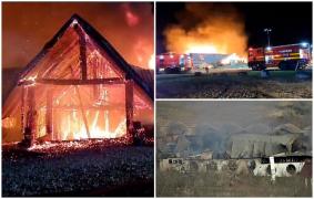 Trei expertize, în curs la Ferma Dacilor. Patronul şi-a angajat propriul specialist ca să descopere ce s-a întâmplat acolo