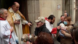 Orașul în care animalele sunt binecuvântate cu apă sfințită. Tradiția, menită să le aducă sănătate și protecție în noul an