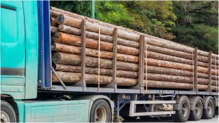 Localnicii din Borșa au blocat un drum cu mașinile crezând ca opresc hoții de lemne. Ce au făcut când au văzut că șoferul avea aviz