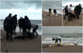 Opt cadavre găsite pe plajele din Antalya, în şase zile. Ultimele două au fost descoperite azi dimineaţă în staţiunea Kadriye, la 500 m distanţă unul de celălalt