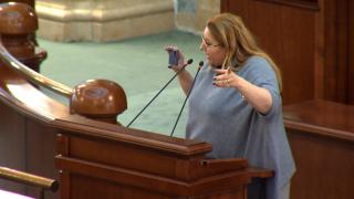 Circ în Parlament, pe tema ordonanţelor pentru fermieri şi transportatori. Diana Şoşoacă, oprită abia după ce i-a fost tăiat microfonul: "Ruşine să vă fie"