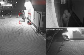 Cum a plănuit secretara primăriei din Giroc jefuirea propriului şef. Camerele au filmat-o cum lasă indivizi cu feţele acoperite să intre în instituţie