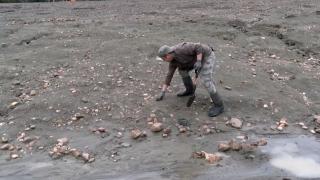 Descoperirea de aproape 30.000 de dolari, făcută de un turist în timpul unei vacanţe. Nu va vinde comoara, ci o va dărui logodnicei şi fiicei