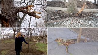 "Se face un fel de puşcărie. Beton, nu iarbă verde". "Doreii" din Constanţa au distrus zeci de copaci dintr-un parc în timpul lucrărilor de reamenajare