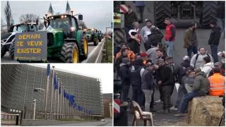 Fermierii din Europa au câștigat primele concesii de la UE. Derogare la GAEC 8 privind terenul pârloagă