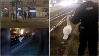 O lebădă s-a pierdut într-o intersecţie din Arad. Şase jandarmi au ghidat-o prin tot oraşul, până a ajuns pe lacul unui parc din apropiere