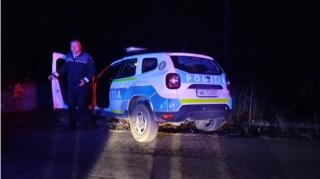 Desfăşurare de forţe în Brăila pentru căutarea unei ursoaice cu pui. Misiunea nu a avut succes, oamenii alertaţi prin Ro-Alert