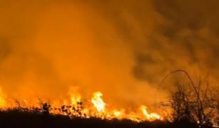 Un incendiu de vegetaţie a distrus peste 100 de hectare, în Mehedinţi. Focul s-a întins pe 3 kilometri
