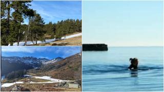 Fenomen extrem, într-o țară din Europa. Au fost aproape 28 de grade iar multe staţiuni de schi au fost închise pentru că nu au zăpadă