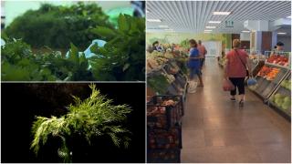 Experiment Observator. Verdețurile din piață contaminate cu substanțe periculoase, din nou la control. Ce arată analizele acum