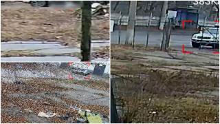 Câini uciși fără milă la Galați. Animalele ar fi fost otrăvite și lovite intenționat cu mașina. Gestul îngrozitor, filmat de camerele de supraveghere din oraș
