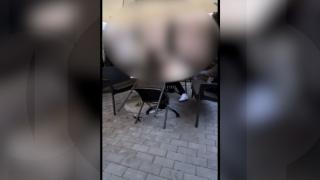 Fată de 14 ani, bătută cu bestialitate de o colegă, în Câmpina. Scena a avut loc chiar vizavi de liceul unde cele 2 copile învaţă, la o terasă