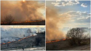 Incendiu în Delta Văcăreşti: flăcările au cuprins peste 1,5 hectare de teren. Focul s-ar putea extinde din cauza vântului