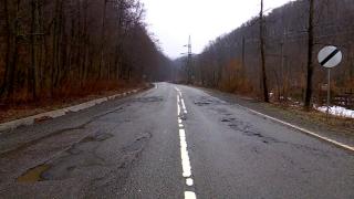 Au început să apară "vestitorii" primăverii. Unii români ajung să plătească şi 3.000 de lei