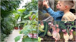 Zeci de plante exotice se lasă admirate la Grădina Botanică din Iaşi. Expoziţia i-a cucerit pe cei mici: "Foarte frumoase". Care e atracţia principală