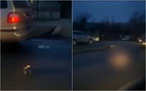 Bătrân spulberat mortal de maşină, după ce a încercat să treacă strada prin loc nepermis, în Sighetu Marmaţiei