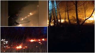 Incendiu uriaş în Hunedoara. Peste 100 de hectare de teren s-au făcut scrum. Flăcările s-au extins rapid din cauza vegetaţiei uscate