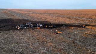 "Dacă am fi auzit vreo bubuitură, am fi intrat în panică". O dronă rusească, cu 50 kg de explozibil, doborâtă de ucraineni deasupra R. Moldova, la 30 km de România