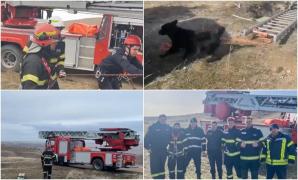 Cățeluș salvat după trei ore de intervenție a pompierilor din Tulcea, după ce a căzut într-o groapă de 30 de metri. Animalul era acolo de 3 zile