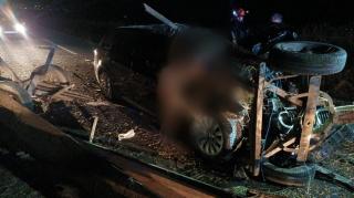 Căruţă spulberată de BMW, la ieşirea din Rădăuţi. Calul a murit pe loc, două persoane au fost rănite