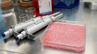 Orezul umplut cu carne, inventat de cercetătorii din Coreea de Sud. La cât ajunge preţul noului aliment