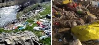 Staţiunea cu o istorie de aproape un secol, care se scufundă în gunoaie. Firma de salubrizare angajată de primărie face curăţenie doar opt luni pe an