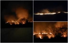 Incendii puternice de vegetație, în mai multe zone din judeţul Gorj. Zeci de hectare de teren s-au făcut scrum
