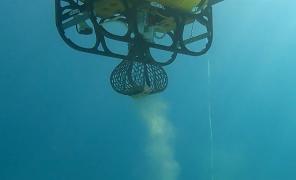 Deşeurile din adâncurile mărilor şi oceanelor, curăţate cu ajutorul Inteligenţei Artificiale. Softul clujenilor, testat de studenţi chiar în curtea Universităţii