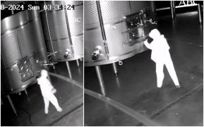 Momentul în care un individ pătrunde într-o cramă și varsă intenționat vin premium de peste 2,5 milioane de euro, în Spania