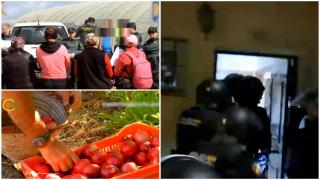 Români ţinuţi sclavi de alţi români în Spania. Şeful grupării, poreclit "Patriarhul", şi familia sa trăiau în lux: maşini de fiţe şi ceasuri de zeci de mii de euro