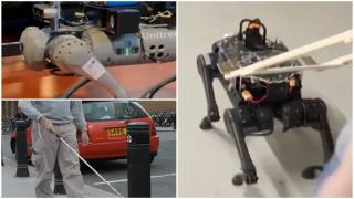 Câini cu Inteligenţă Artificială, un ajutor pentru nevăzători. Roboţii sunt capabili să poarte chiar şi conversaţii