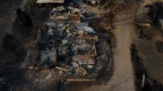 Cel mai mare incendiu de vegetaţie din istoria Texasului. Peste 480.000 de hectare au ars