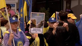 Salariul unui cadru medical cu 25 de ani experienţă, "cu tot cu sporuri". Sute de medici din toată ţara au ieşit în faţa spitalelor, la proteste