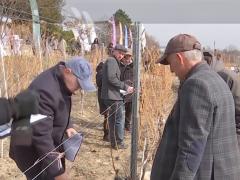 Concurs unic în lume în Buzău. Zeci de concurenți s-au bătut pentru premiul în valoare de 10.000 de euro