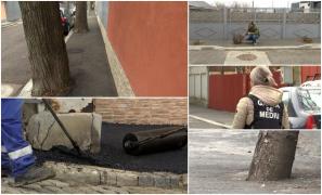 Dorel a asfaltat din nou copaci în Galaţi şi a plusat cu trandafirii de pe trotuar. Reacţia comisarilor Gărzii de Mediu când au văzut grozăvia