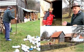 Localnicii unei comune din Mureş, terorizaţi de urşi. Animalele îi "vizitează" aproape în fiecare seară: "A tras-o jos acolo-n ie, numai coastele au mai rămas"