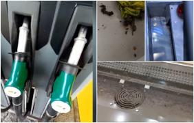 Alimente expirate şi neconcordanţe între preţul de la raft şi cel de la casă, în zeci de staţii peco. Inspectorii ANPC au dat amenzi în valoare de 340.000 de lei