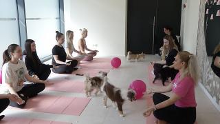 Afacerea cu un concept unic în România care atrage clienți pe bandă rulantă. Se combină două terapii: o ședință costă 180 de lei