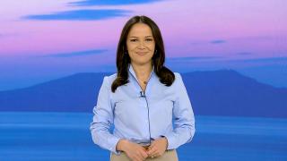 Observator de bine, 13 martie 2024. A început marea reîmpădurire a României