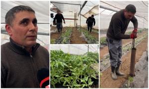 Dorinţa lui Dumitru, un român care are o afacere cu roşii bio, după ce "toate s-au scumpit şi sunt duble la preţ"