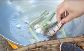 Carnea de piton ar putea înlocui în curând puiul în meniul restaurantelor. Cum e motivată schimbarea