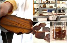 Invenţia unică a unor cercetători români care ar putea să revoluţioneze întreaga lume: Ambalajul care se distruge singur