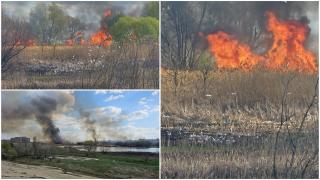 Incendiu puternic în Delta Văcăreşti. Flăcările au cuprins peste 7.000 de metri pătraţi