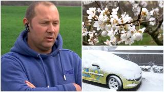 Diferențele de temperatură dintre zi și noapte au ajuns la 20 de grade Celsius. Fermierii, complet debusolați: "Nu ştim ce să facem"