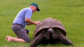 O broască ţestoasă de 192 de ani a intrat de 2 ori în Cartea Recordurilor. A trăit într-o perioadă în care nu exista nici telefonul