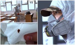 Criza şcolilor invadate de ploşniţe din Bucureşti. Părinţii îşi chimbă copiii de haine la uşă: "Ne-am speriat! Dacă aduce acasă, ne umple"