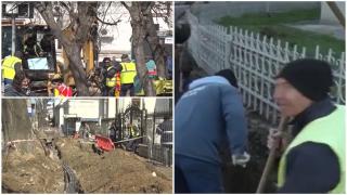 "Dorel" face o nouă gafă. A retezat rădăcinile a zeci de tei vechi de 100 de ani, în timp ce săpa un şanţ, în Galaţi. "Îi spunea taie ăla, ăla, ăla"