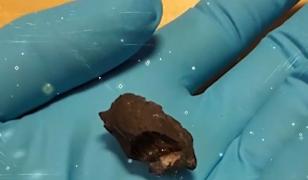 Criminal prins după mai bine de 44 de ani. A fost "trădat" de guma de mestecat pe care a aruncat-o la întâmplare pe o stradă în SUA