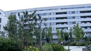 Harta celor mai scumpe chirii din ţară. Oraşul unde românii dau mai mult de jumătate din salariu pentru un apartament cu 2 camere